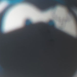 Meet your Posher, Carter